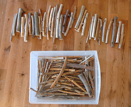 twigs