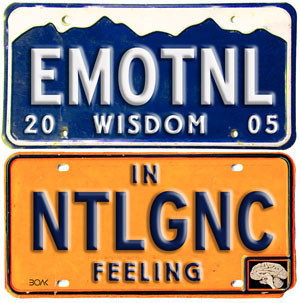 Emotional Intelligence