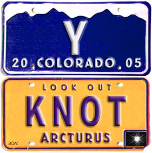 y knot