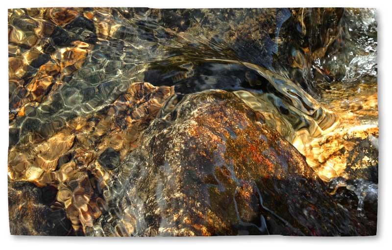 whale creek