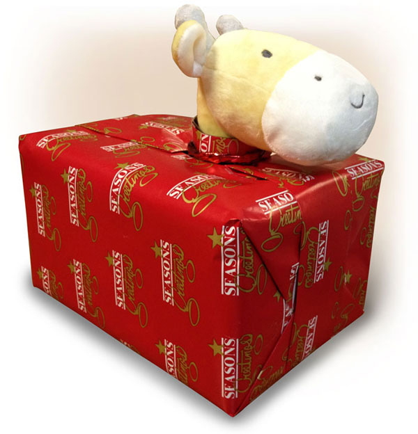 revelation of the gift
