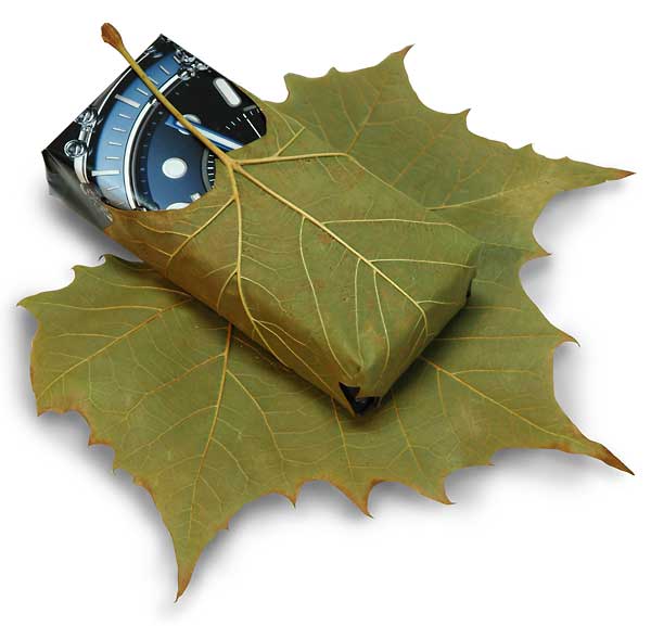 leaf wrap